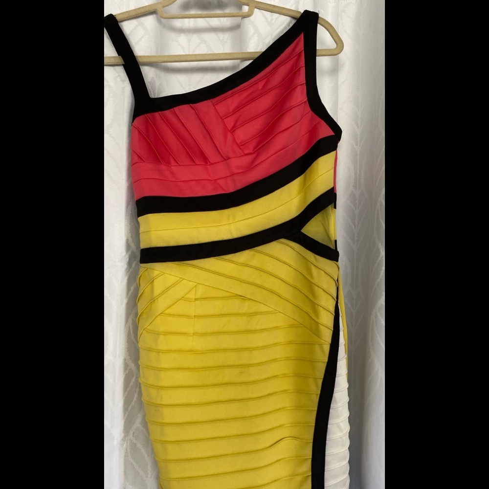 Minuet Multi color Bodycon Dress in Medium